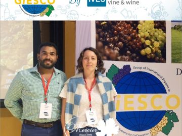 Camille et Olivier, en charge de la création de nouvelles variétés résistantes (programme Nathy), ont présenté leurs travaux lors du 22ème congrès du GIESCO,...